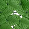 Product Thumbnail Image 4 of 6