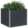 Product Thumbnail Image 5 of 13