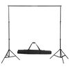 vidaXL Backdrop Support System 300 x 300 cm Black