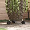 Product Thumbnail Image 2 of 6