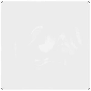 vidaXL Clear Tarpaulin with Eyelets 2x2 m PVC