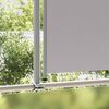 vidaXL Patio Retractable Side Awning 160 x 300 cm Grey