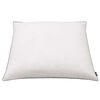vidaXL Pillows 2 pcs Down/Feather Filling Heavy 80x80 cm White
