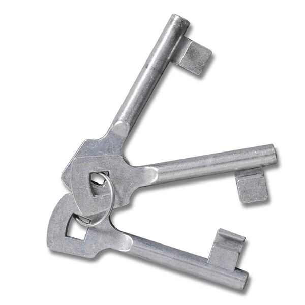 vidaXL Garden Mesh Gate Fence Door Wall Grille 300x175 cm