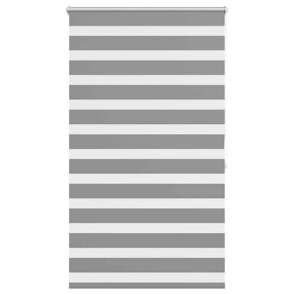 vidaXL Zebra Blind 100 x 175 cm Grey
