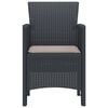 vidaXL Garden Chair 2 pcs Anthracite 53 x 49 x 85 cm Polypropylene