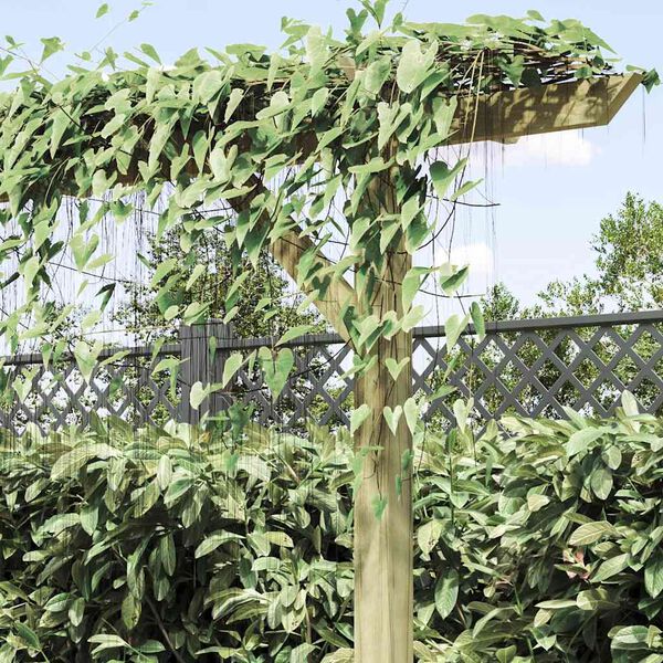 vidaXL Garden Pergola 205x40x203 cm Wood