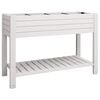 vidaXL Garden Raised Bed White 110x45x79 cm Polypropylene