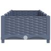 Product Thumbnail Image 4 of 9