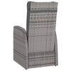 vidaXL 11 Piece Outdoor Dining Set with Cushions Poly Rattan Grey