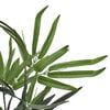Product Thumbnail Image 2 of 2