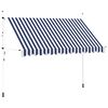 vidaXL Manual Retractable Awning 350 cm Blue and White Stripes