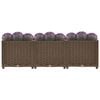 Product Thumbnail Image 3 of 9