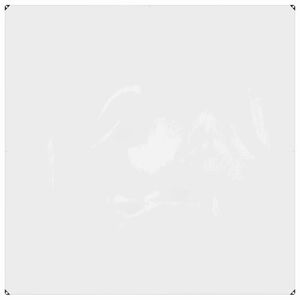 vidaXL Plant Cover Transparent 2 x 2 m PVC