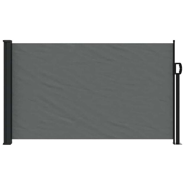 vidaXL Retractable Side Awning Anthracite 120x500 cm
