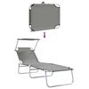 vidaXL Folding Sun Lounger with Canopy Steel Grey