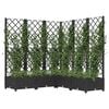 Product Thumbnail Image 7 of 8