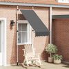 vidaXL 145832  vidaXL Manual Retractable Awning 100 cm Anthracite