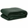 vidaXL Tent Carpet 250x300 cm HDPE Green