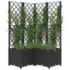 Product Thumbnail Image 7 of 8