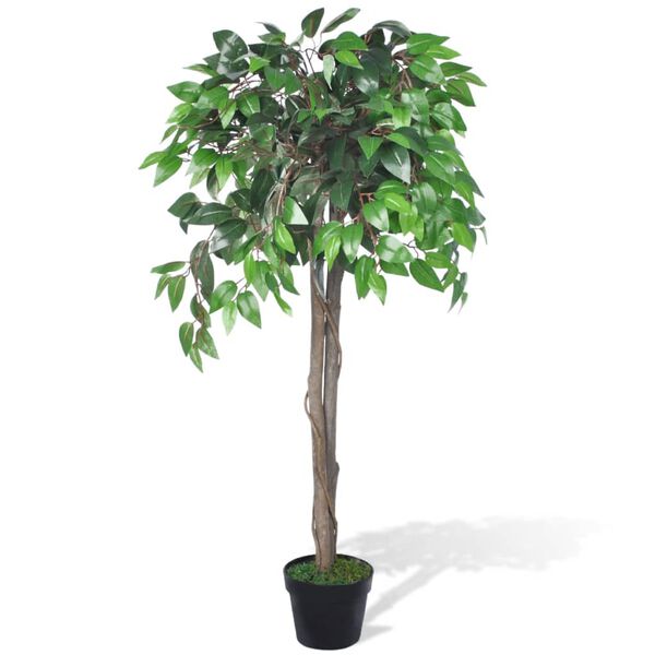 Showing Product Image 1 of 2