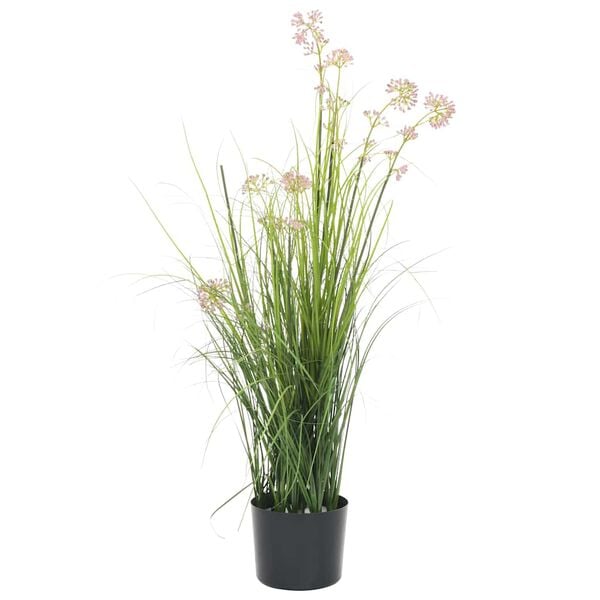 Showing Product Image 1 of 2