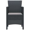 vidaXL Garden Chair 2 pcs Anthracite 53 x 49 x 85 cm PP