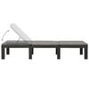 vidaXL Sun Lounger with Cushion Plastic Anthracite