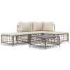 vidaXL 5 Piece Garden Lounge Set with Cushions Anthracite Poly Rattan