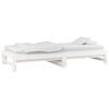vidaXL Pull-out Day Bed without Mattress White 2x(80x200) cm