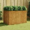 vidaXL Garden Raised Bed 120x80x80 cm Corten Steel