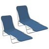 vidaXL Sunlounger | Set of 2 | Blue | Powder-coated steel | Standard | Foldable