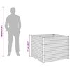 Product Thumbnail Image 13 of 13