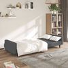 vidaXL 2-Seater Sofa Bed Dark Grey Velvet