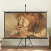 Product Thumbnail Image 2 of 9