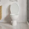 Product Thumbnail Image 3 of 13