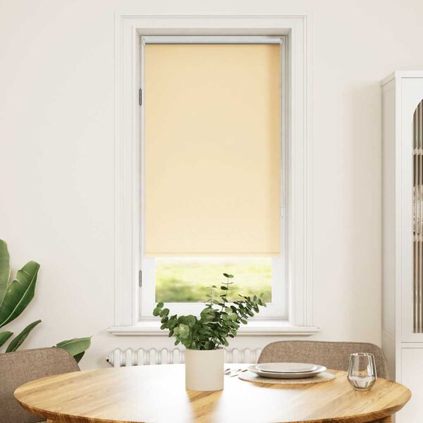 Roller Blind Blackout 40 x 100 cm Beige