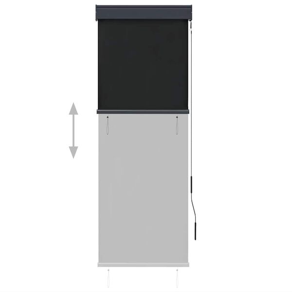 vidaXL Outdoor Roller Blind 60x250 cm Anthracite