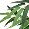 Product Thumbnail Image 3 of 5