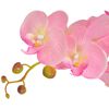Product Thumbnail Image 2 of 2