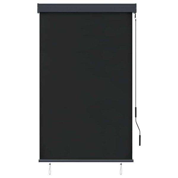 vidaXL Outdoor Roller Blind 100x250 cm Anthracite