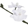 Product Thumbnail Image 2 of 2