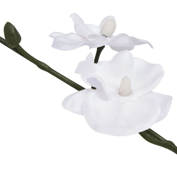 Showing Product Image 2 of 2