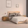 Product Thumbnail Image 2 of 5
