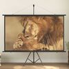 Product Thumbnail Image 2 of 7
