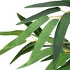 Product Thumbnail Image 3 of 5