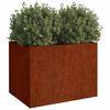 Product Thumbnail Image 3 of 11