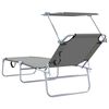 vidaXL Folding Sun Lounger with Canopy Steel Grey