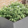 Product Thumbnail Image 4 of 13