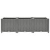 Product Thumbnail Image 2 of 9